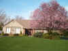 housefrontspring.JPG (62947 bytes)